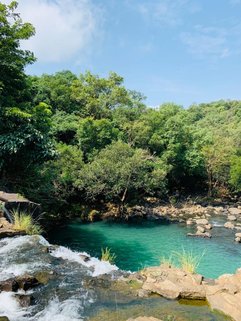 Karnataka’s Green Embrace: Exploring Eco-Tourism Wonders